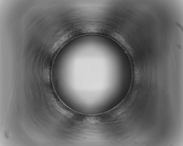 X0000103280489200808291315