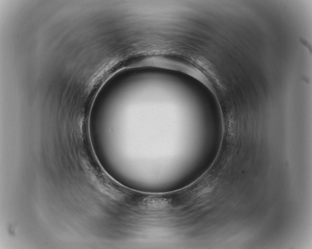 X0000103280491200808291315