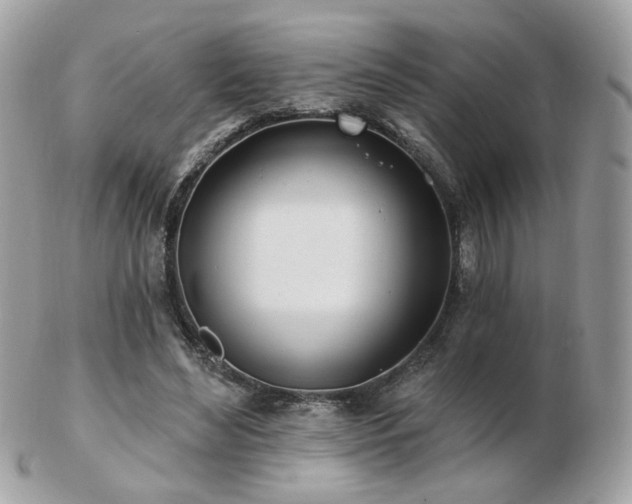 X0000103280492200808291315