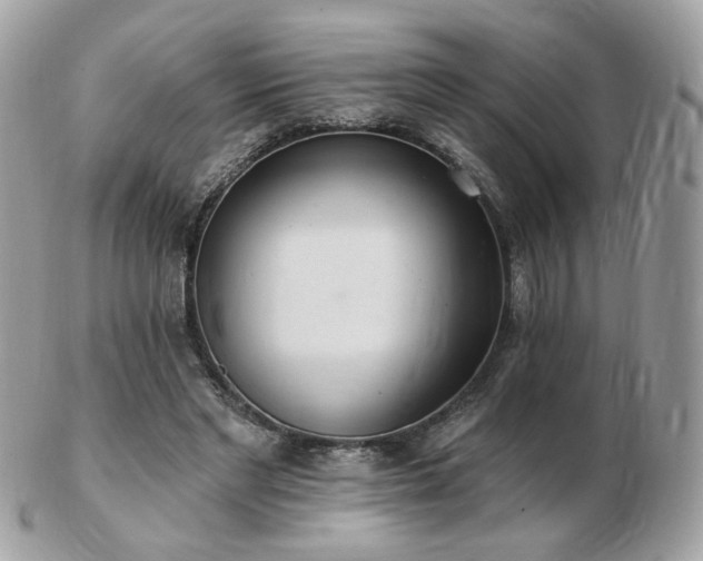 X0000103280493200808291315