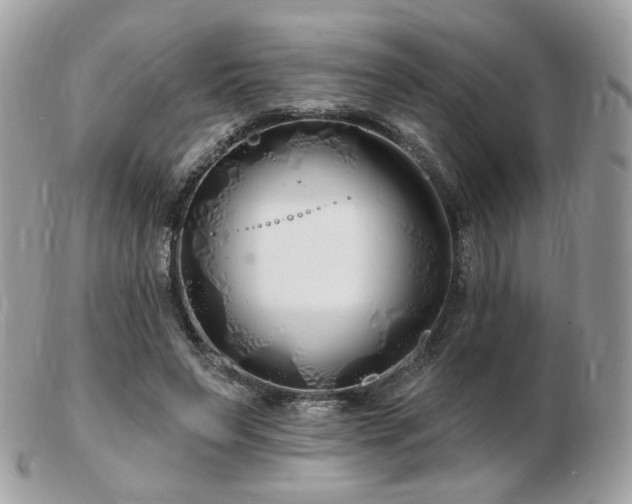 X0000103280495200808291314