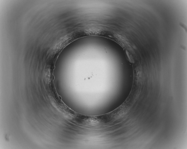 X0000103280498200808291314