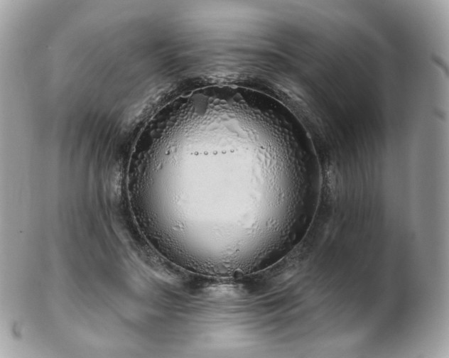 X0000103280499200808291314