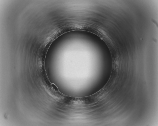 X0000103280500200808291314