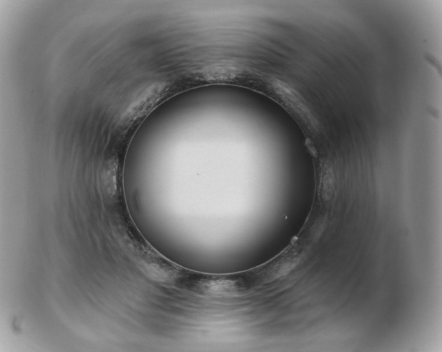 X0000103280501200808291314