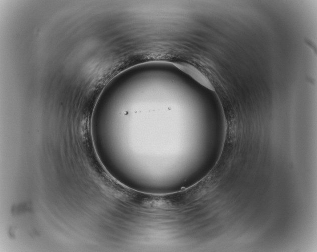 X0000103280503200808291314