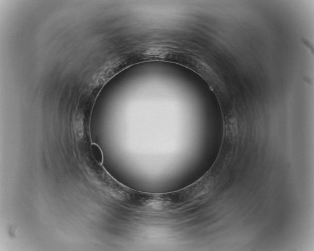 X0000103280504200808291314