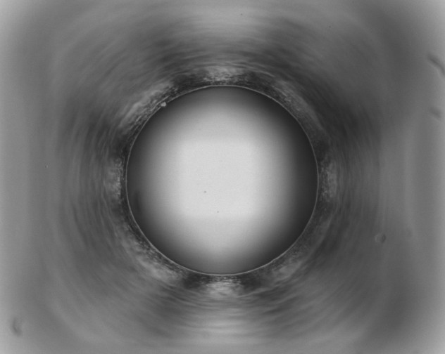 X0000103280505200808291314