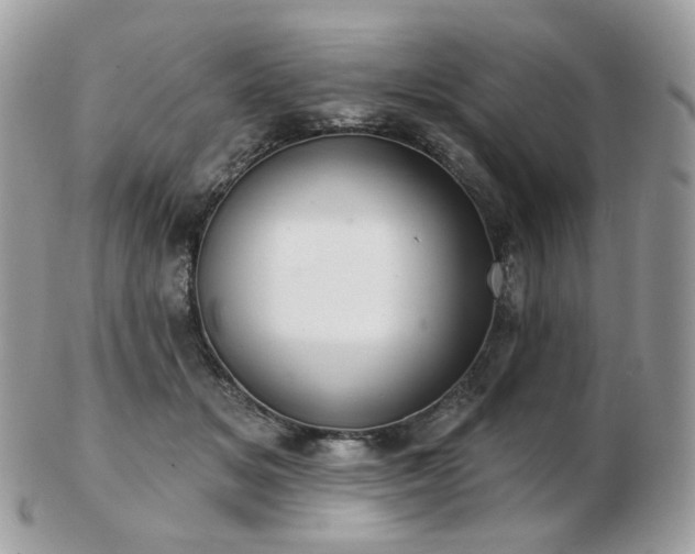 X0000103280509200808291314