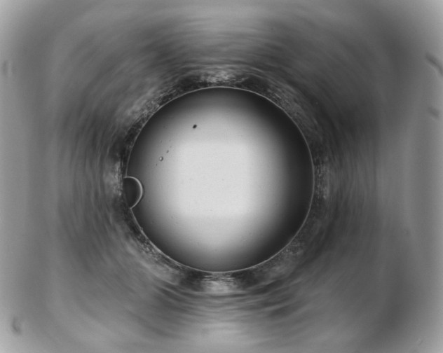 X0000103280510200808291314