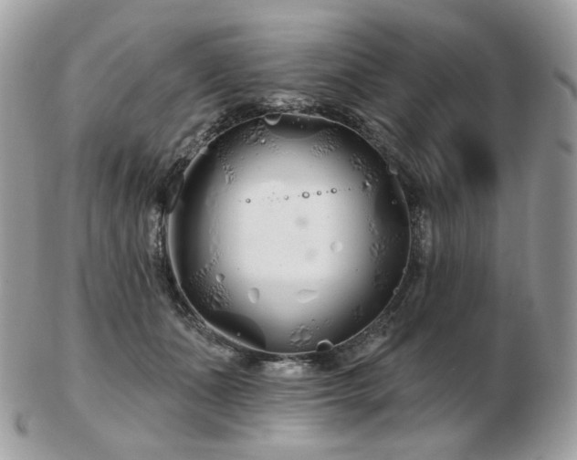 X0000103280511200808291314