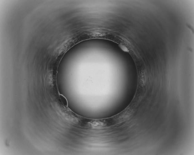 X0000103280512200808291314