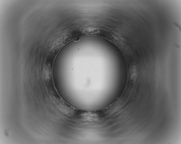 X0000103280515200808291314