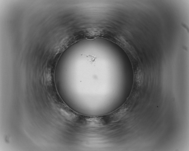 X0000103280516200808291314