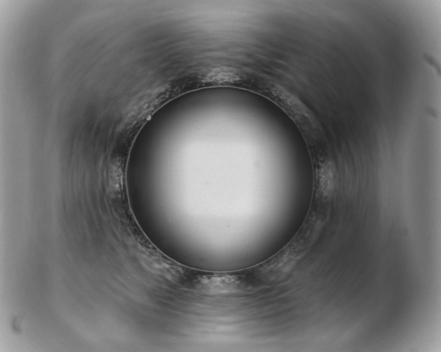 X0000103280517200808291314