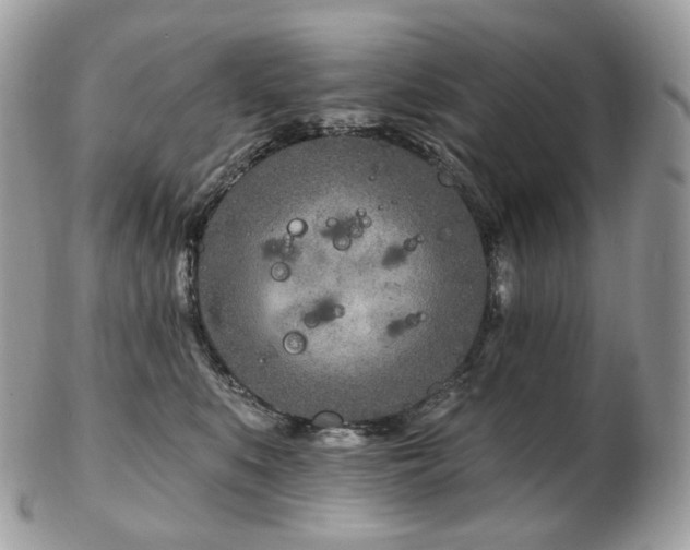 X0000103280519200808291314