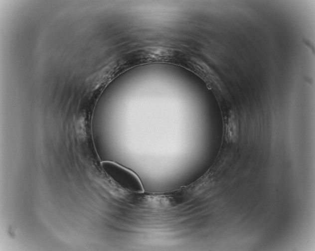 X0000103280520200808291314