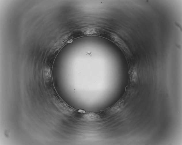 X0000103280521200808291314