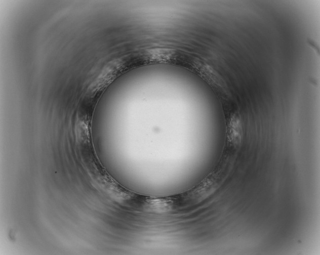 X0000103280522200808291314