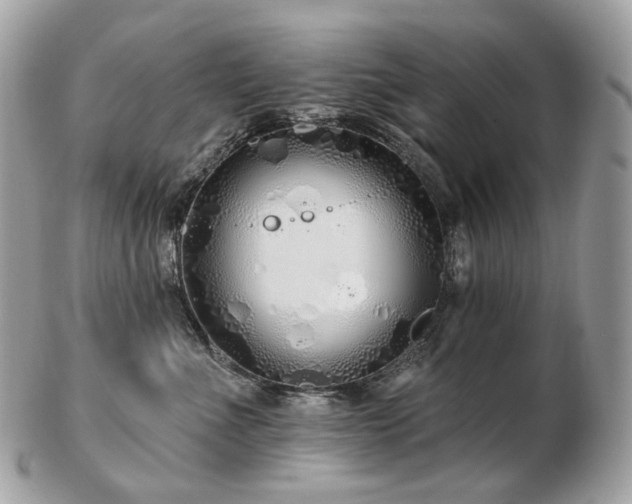 X0000103280523200808291314