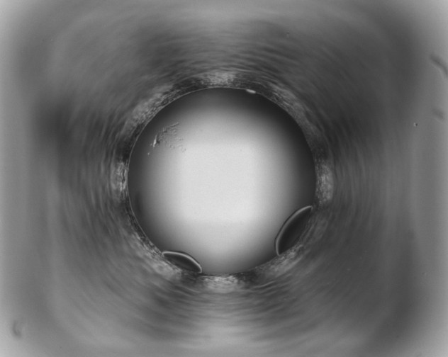 X0000103280525200808291314