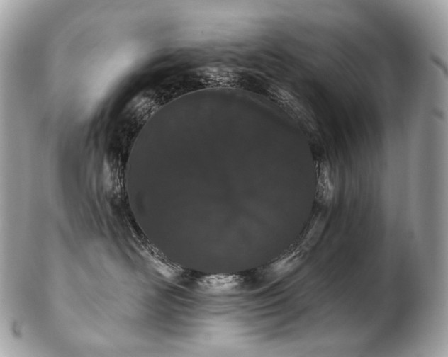 X0000103280526200808291314