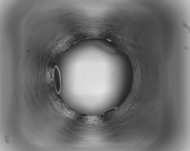 X0000103280528200808291314