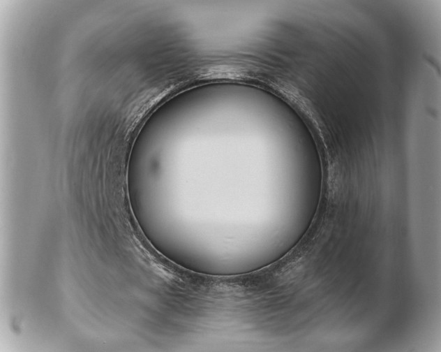 X0000103280529200808291313