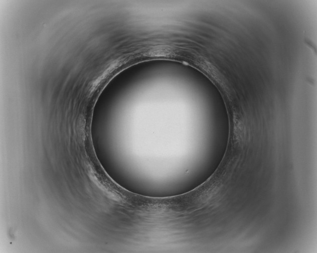 X0000103280530200808291313