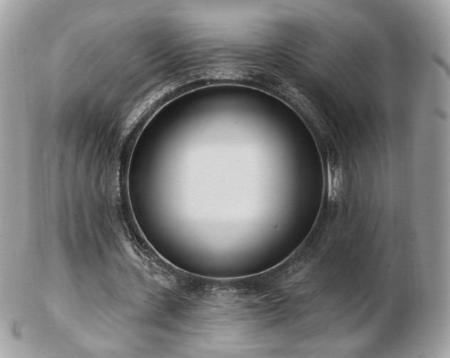 X0000103280531200808291313