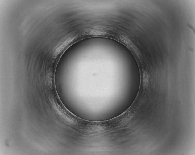 X0000103280533200808291313