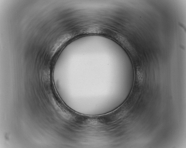 X0000103280534200808291313