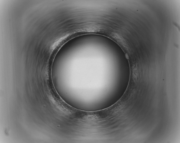 X0000103280536200808291313