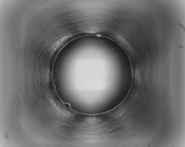 X0000103280540200808291314