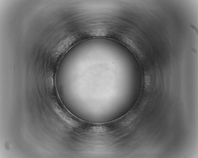 X0000103280541200808291314