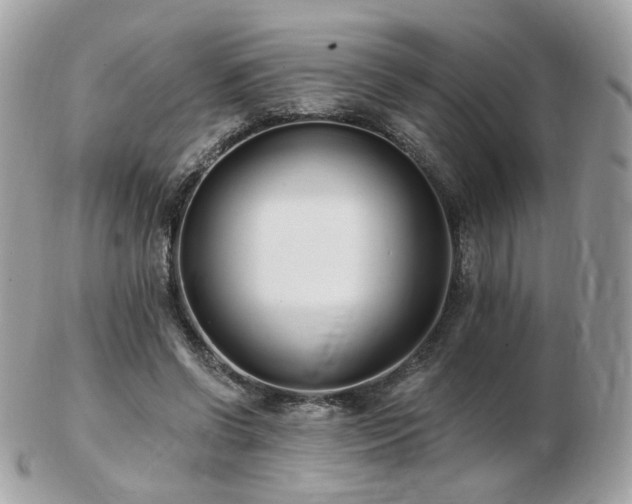 X0000103280542200808291314