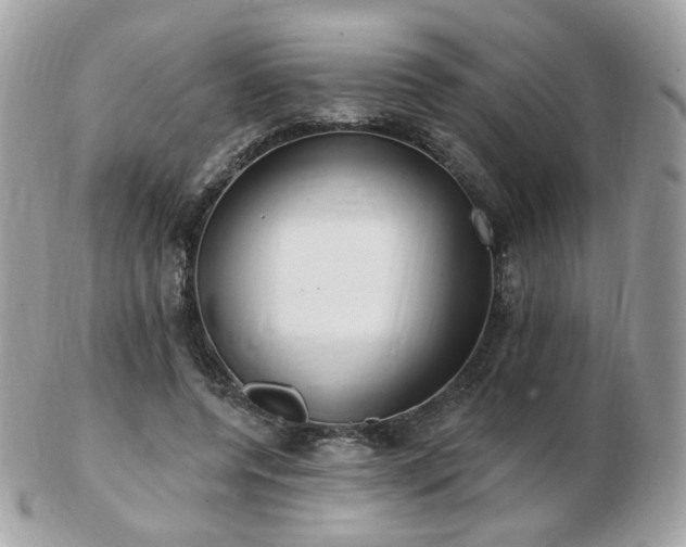 X0000103280544200808291314