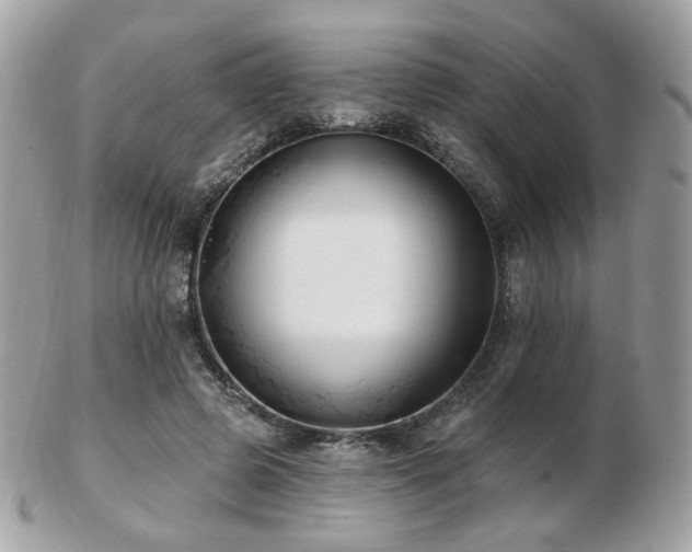 X0000103280545200808291314