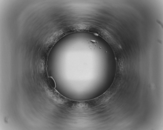 X0000103280546200808291314