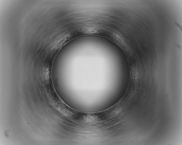 X0000103280549200808291314