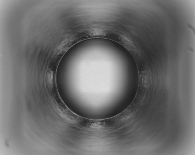 X0000103280550200808291314