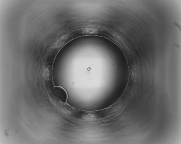 X0000103280551200808291314