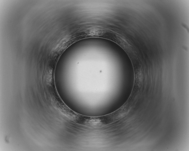 X0000103280554200808291314