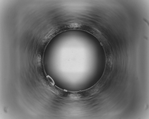 X0000103280556200808291314