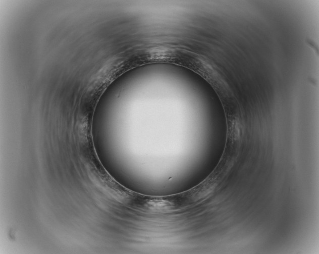 X0000103280557200808291314