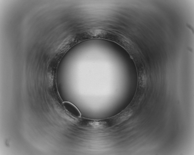 X0000103280558200808291314