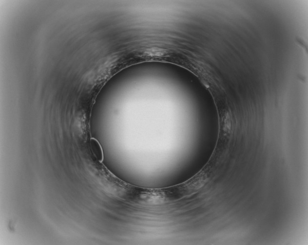 X0000103280559200808291314