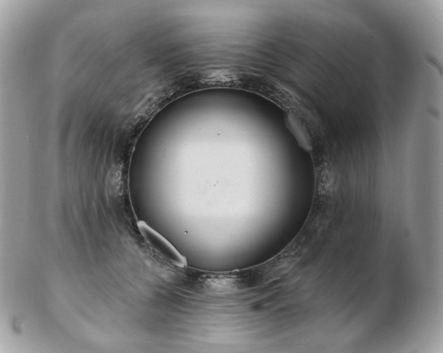 X0000103280560200808291314