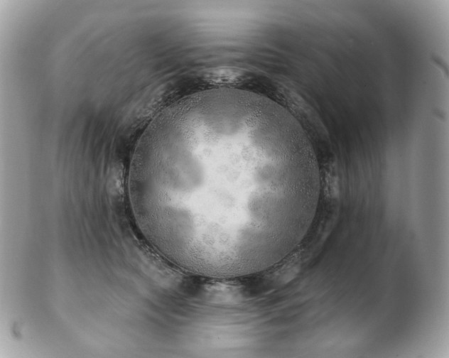 X0000103280561200808291314