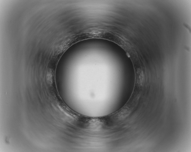 X0000103280562200808291314